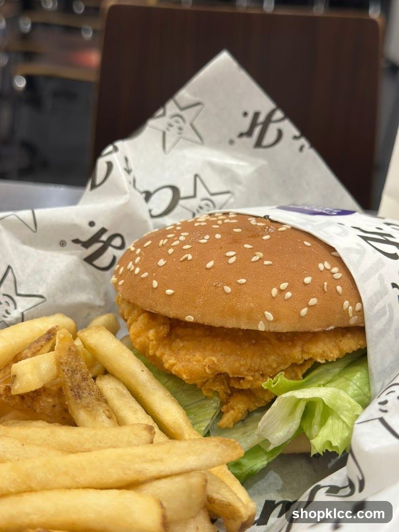 Chicken Sandwich and Fries