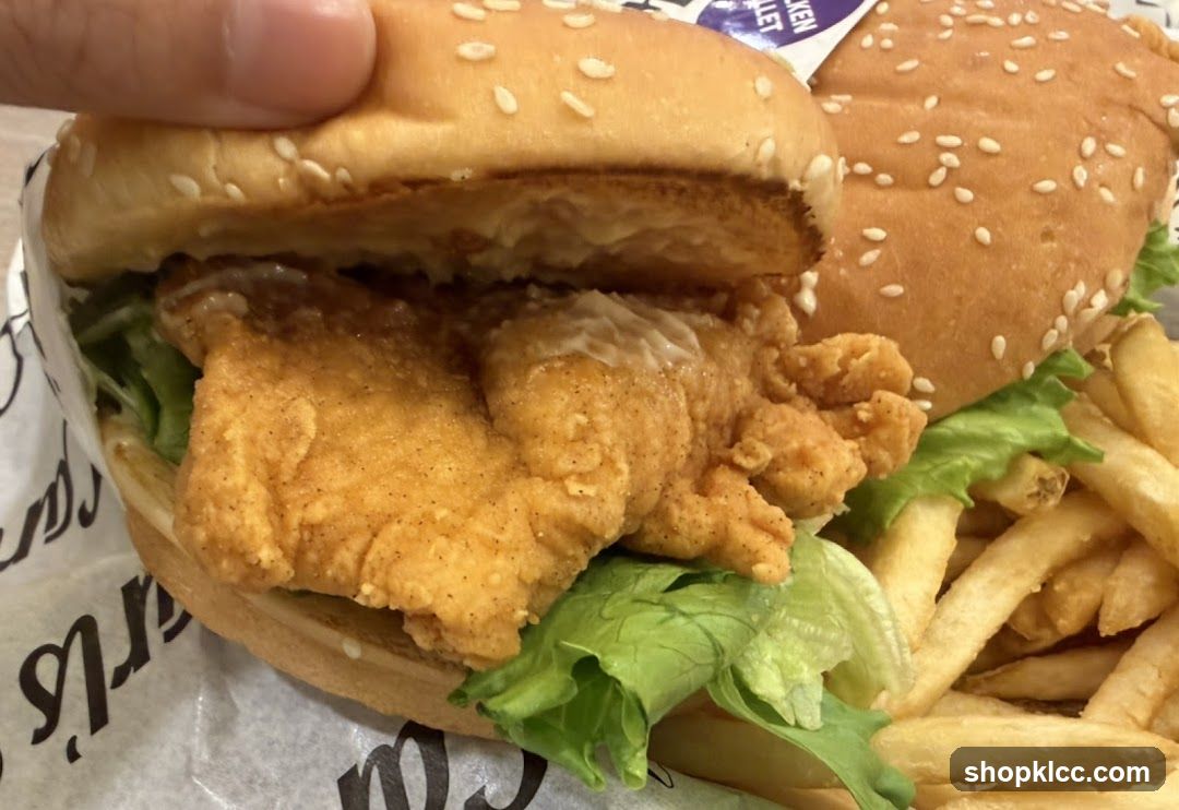 Chicken Sandwich and Fries