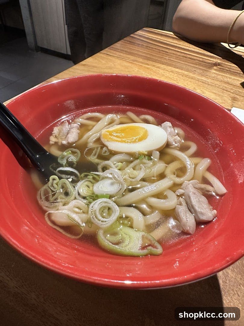 Udon Noodle Soup