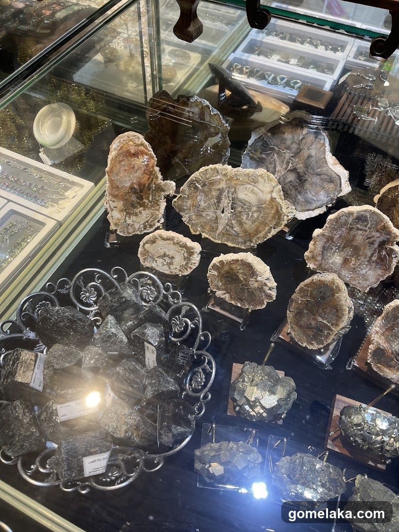 Store Display of Minerals and Fossils