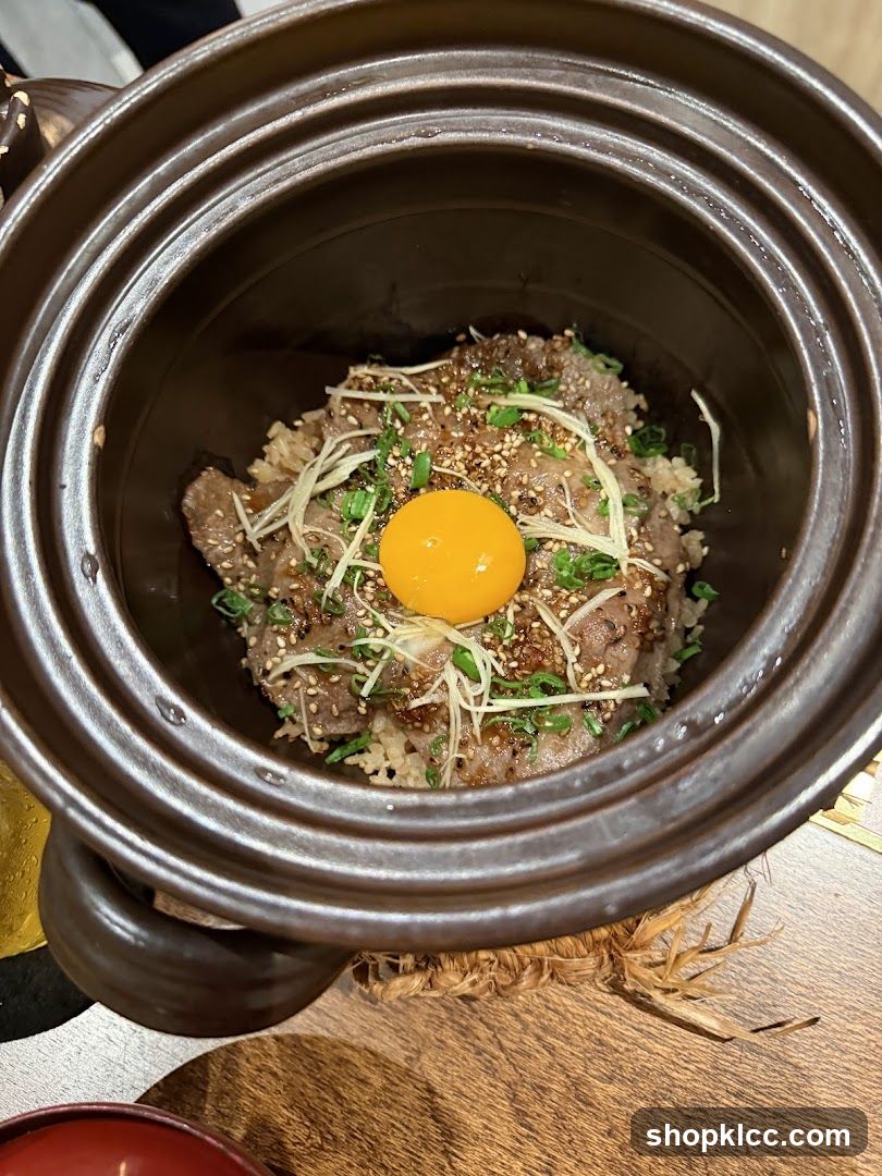 Beef and Rice Bowl with Egg