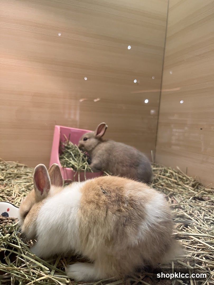 Just Pets Megastore