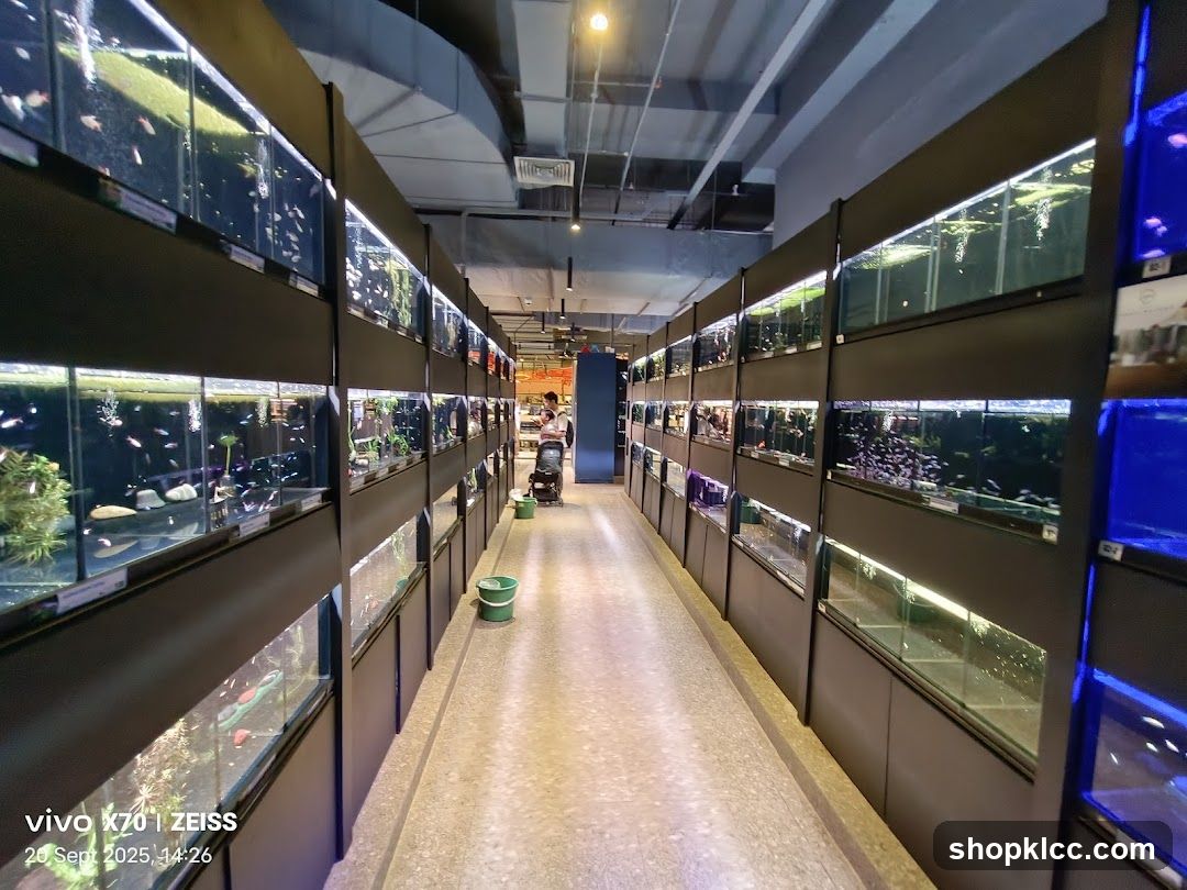 Pet Store Aquarium Aisles