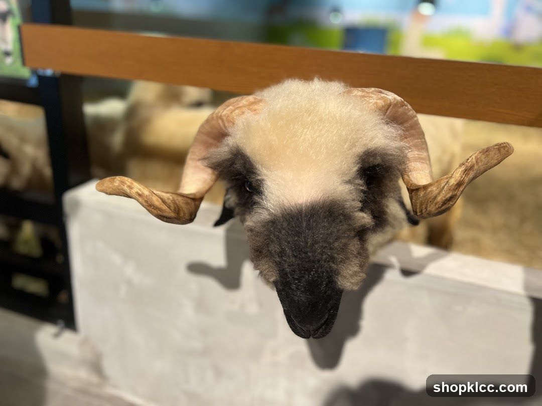 Ram's Head Display