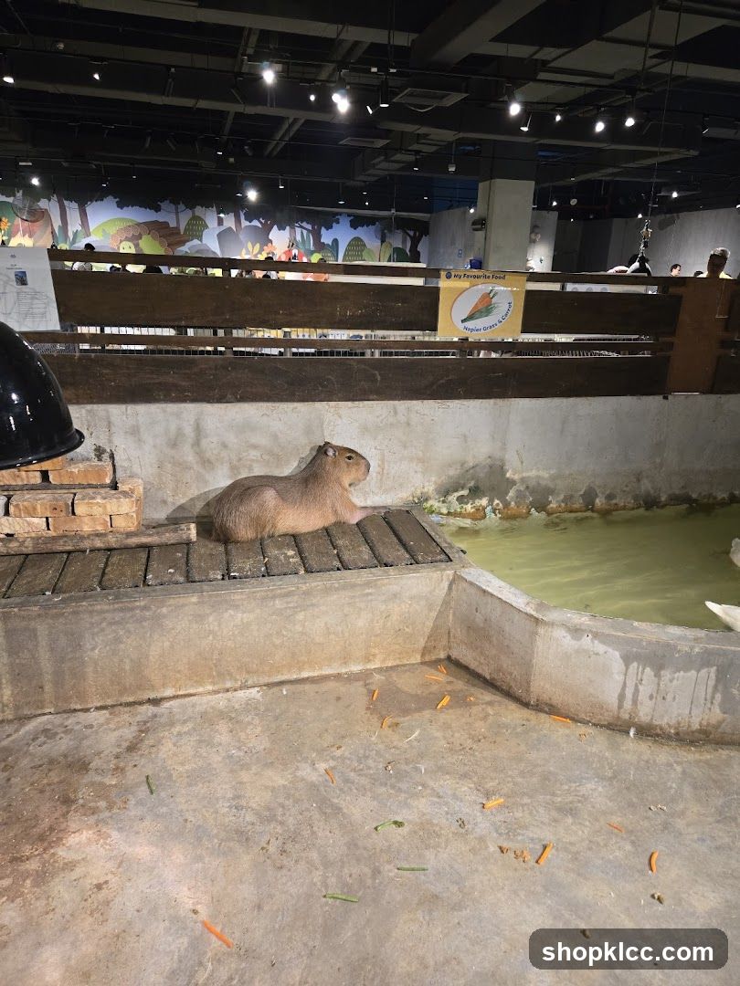 Capybara enclosure
