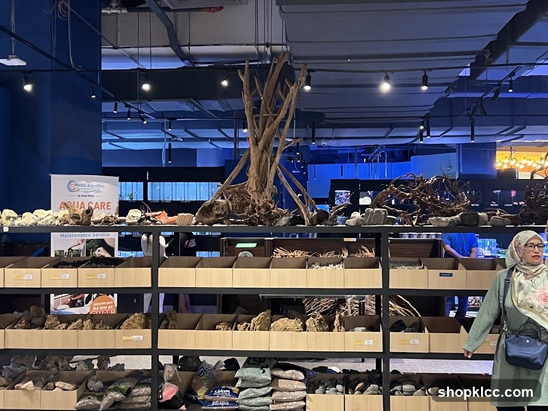 Aquatic Store Display