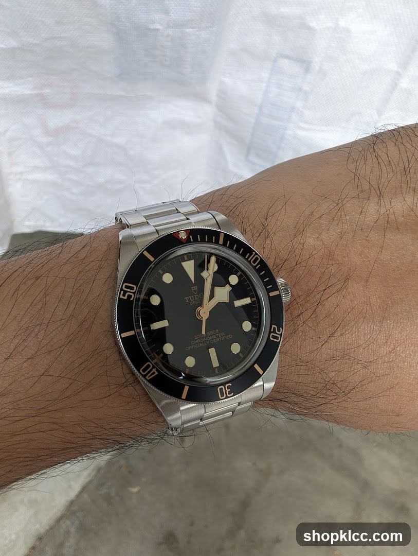 Tudor Watch on Wrist