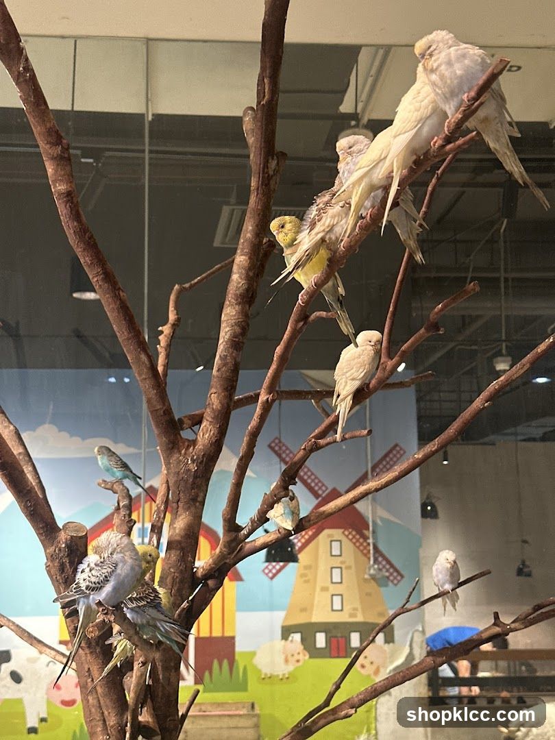 Budgies on a Tree Branch