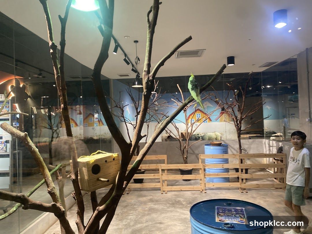 Indoor Aviary with Parrots