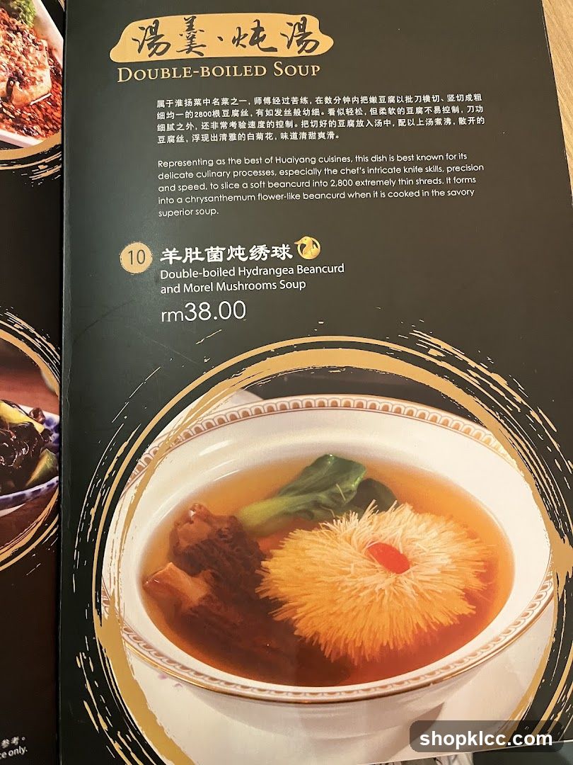 DOUBLE-BOILED SOUP