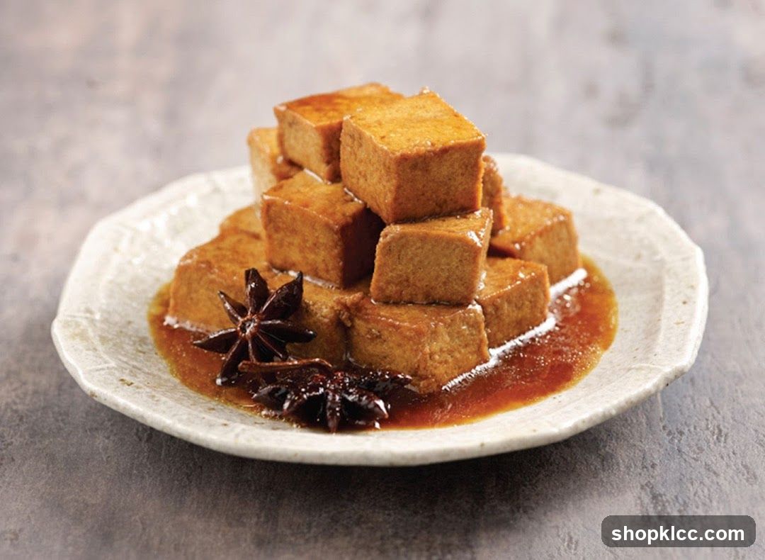 Braised Tofu with Star Anise