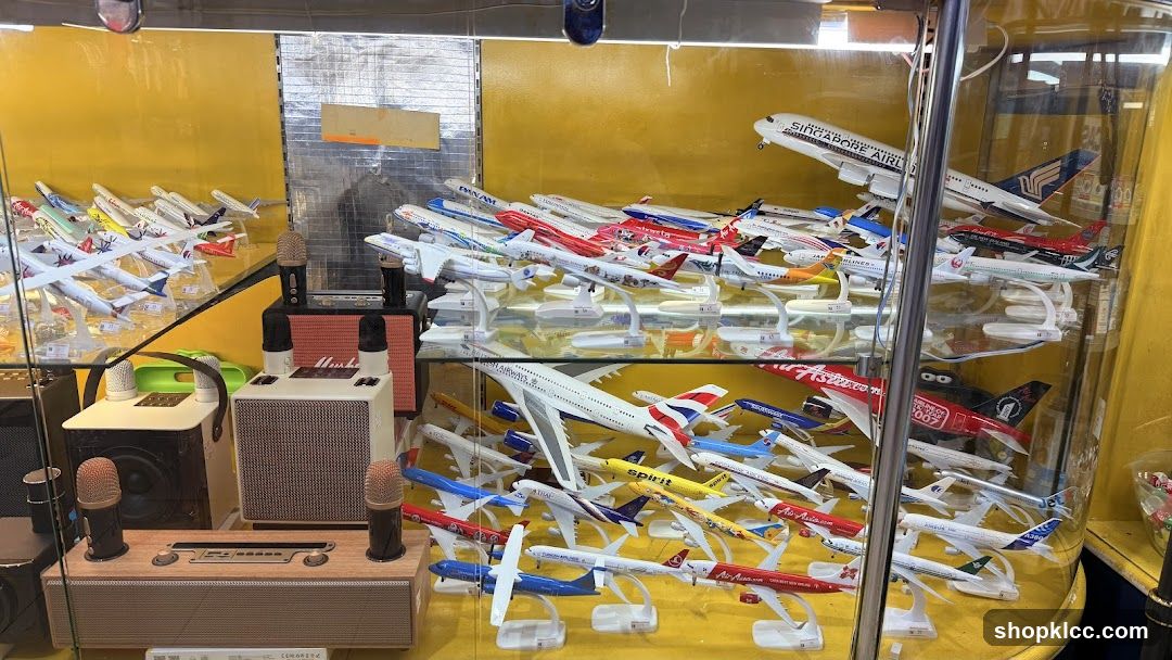 Display Case with Model Airplanes