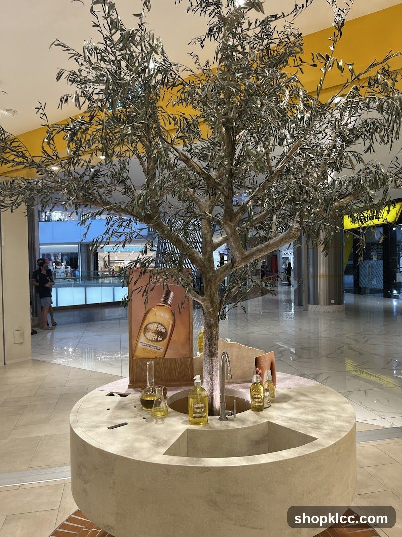 L'Occitane Display with Olive Tree