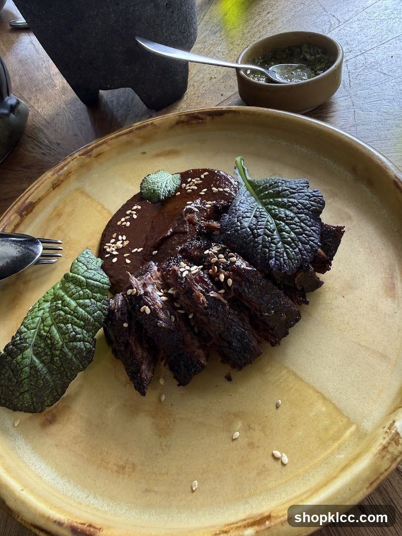 Braised Meat with Mole Sauce