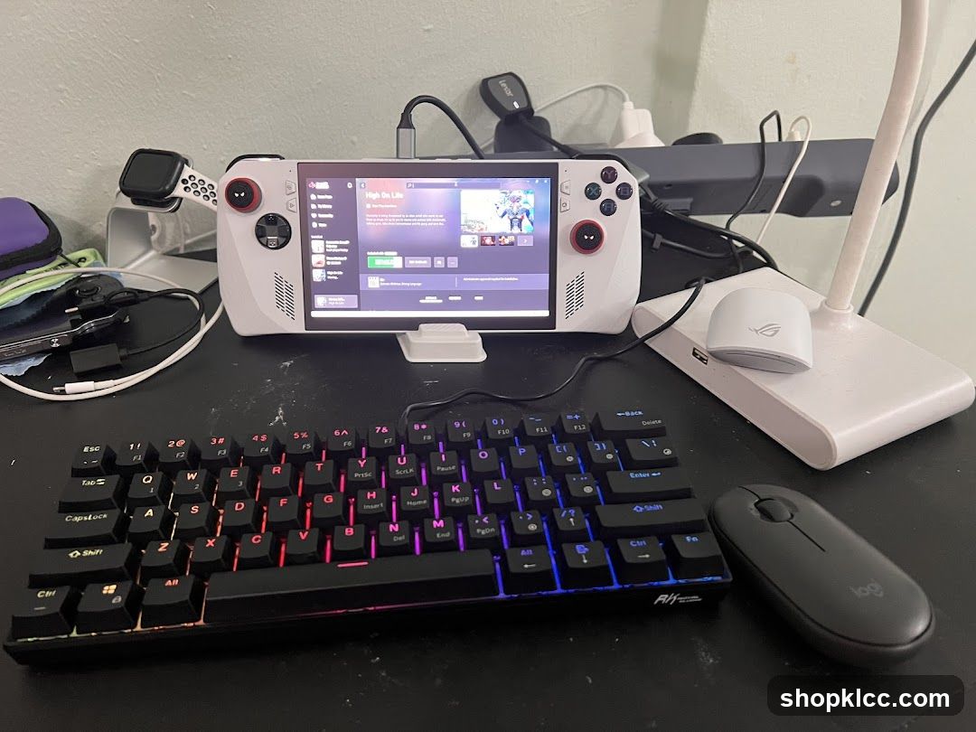 Gaming Setup