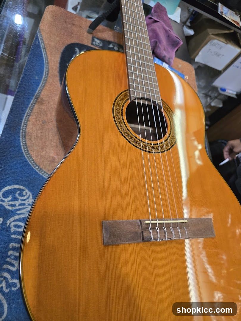 Acoustic Guitar