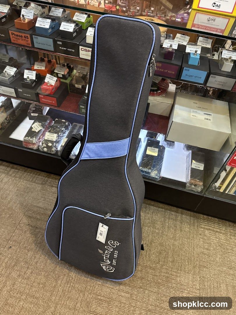 Guitar Case in Music Store