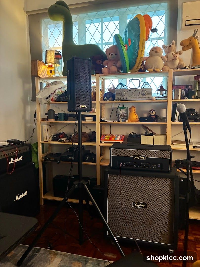 Music Gear and Toys