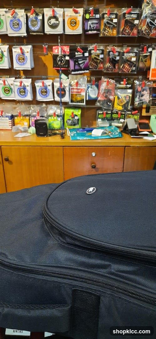 Guitar Accessories and Case