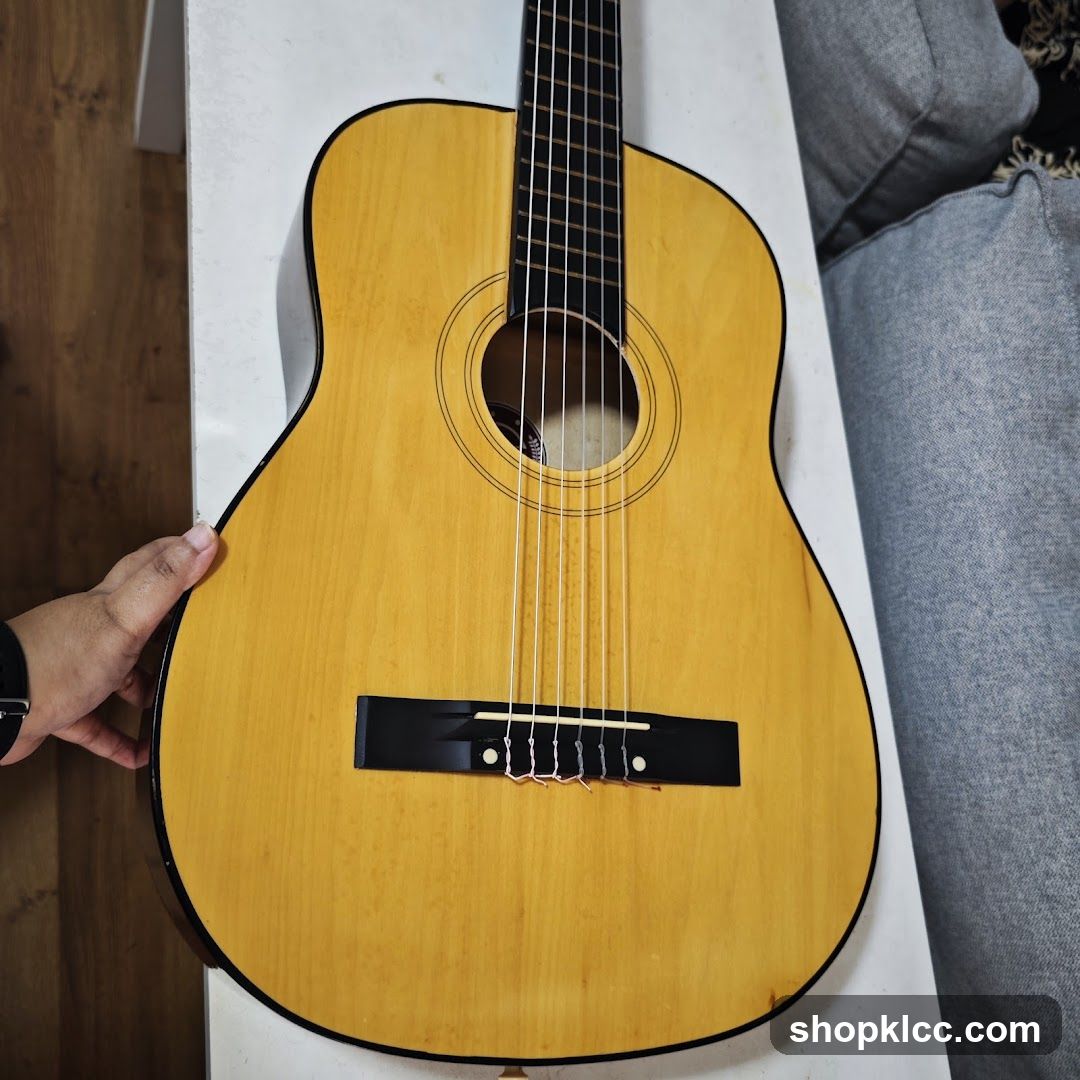 Acoustic Guitar