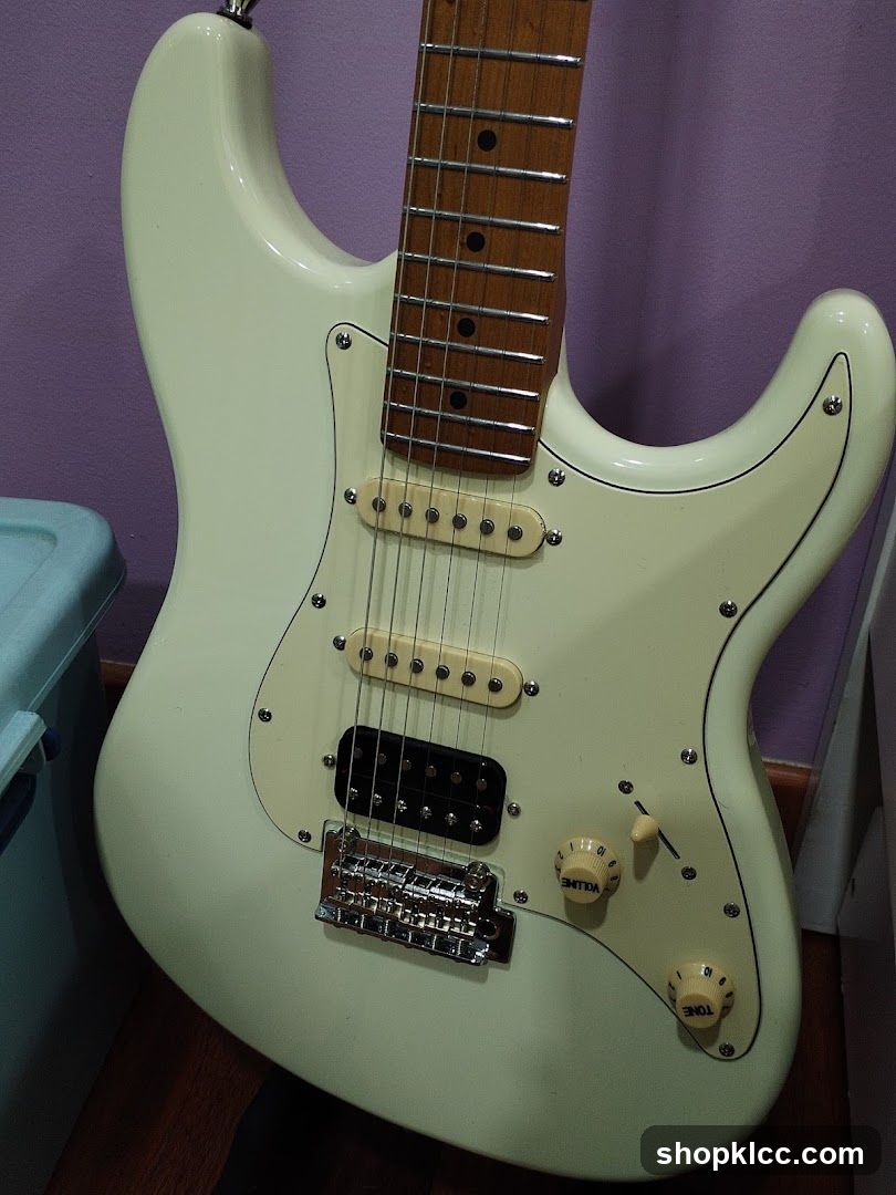Electric Guitar