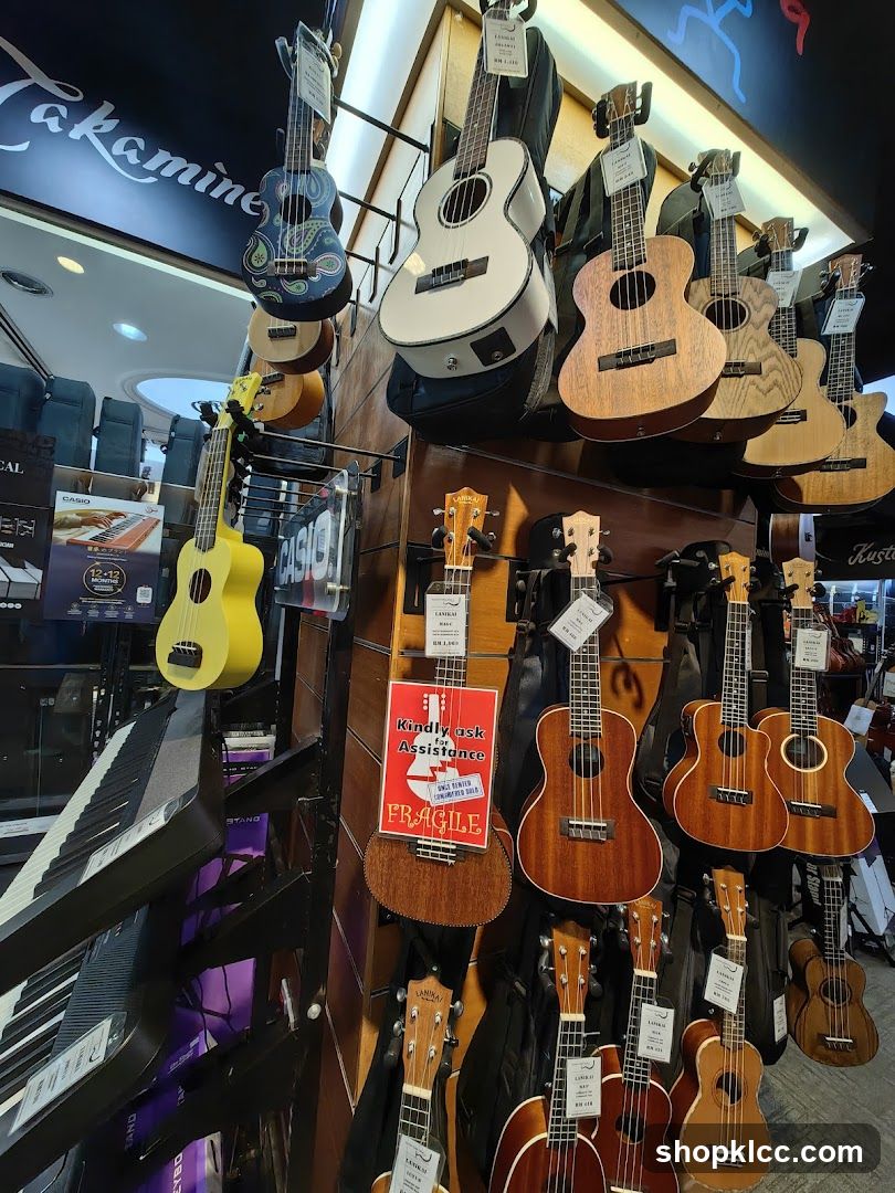 Musical Instruments Display