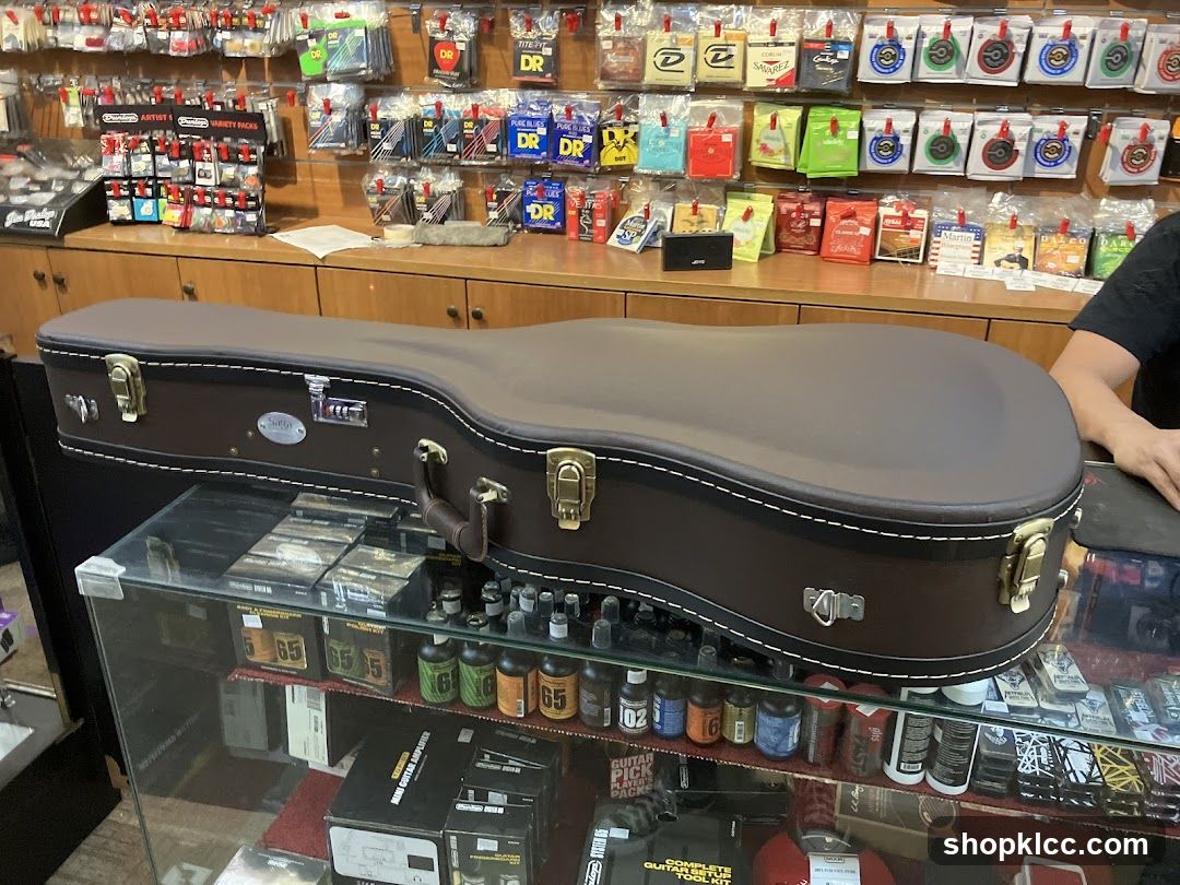 Guitar Case and Accessories