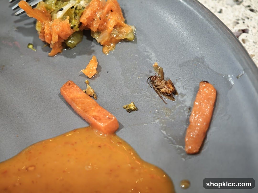 Cockroach on Plate with Food