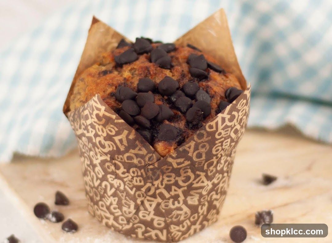 Chocolate Chip Muffin