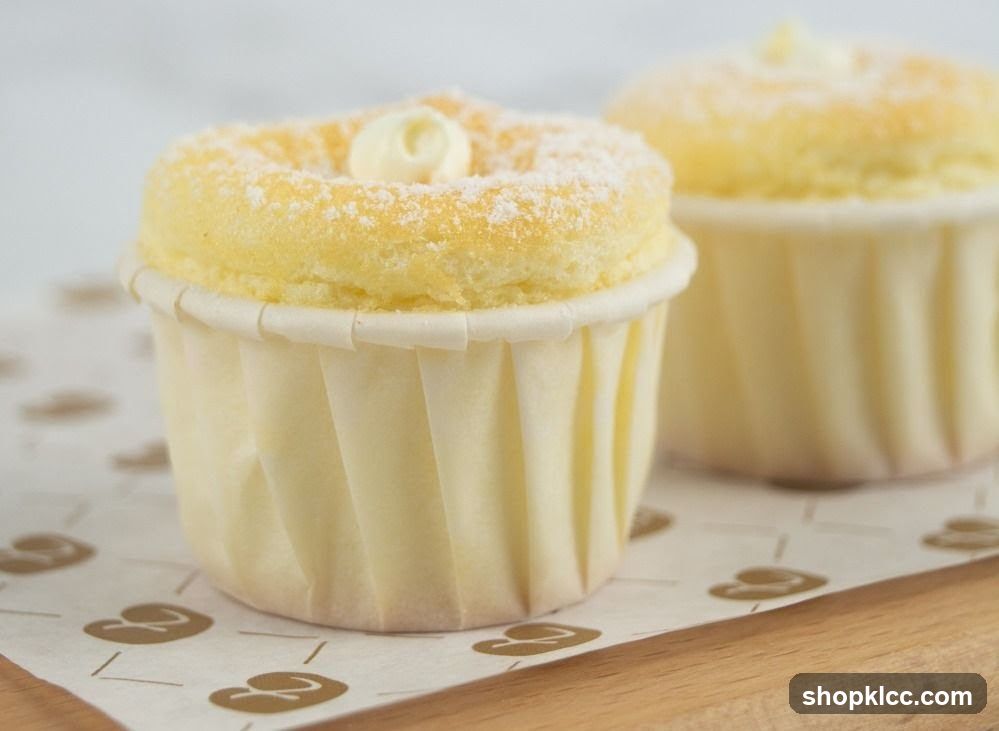 Two fluffy cupcakes dusted with powdered sugar
