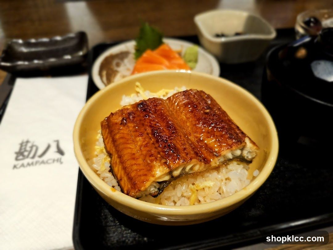 Unagi Donburi