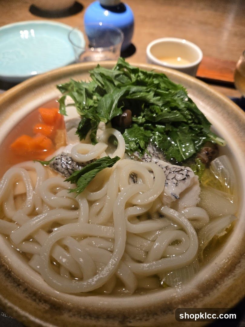 Udon Noodle Soup