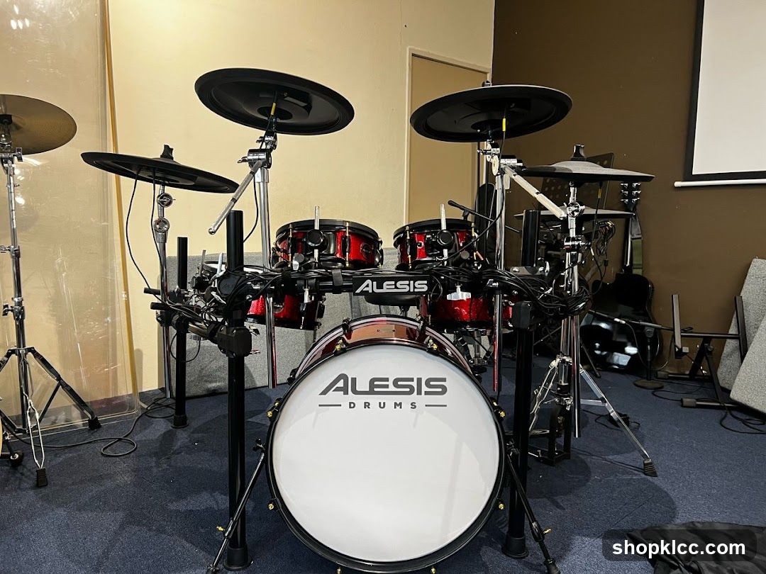 Alesis Electronic Drum Kit