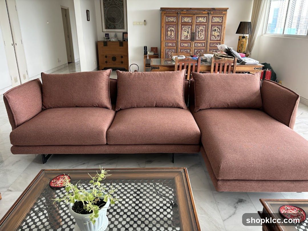 Living Room Sofa and Furniture