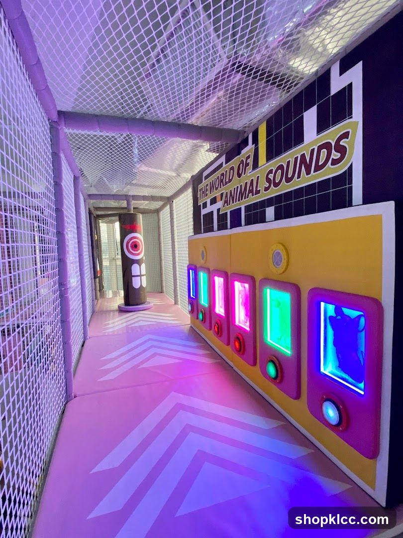 Interactive Animal Sounds Exhibit