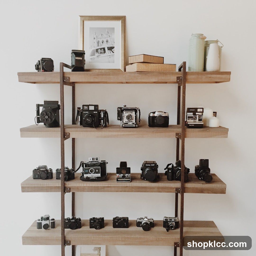 Collection of Cameras on Shelves