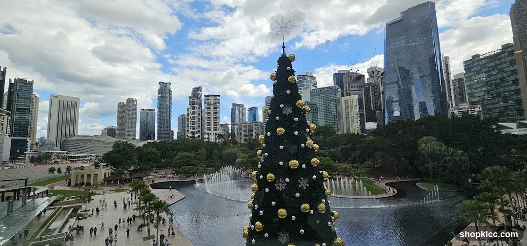 Christmas Tree in City Park
