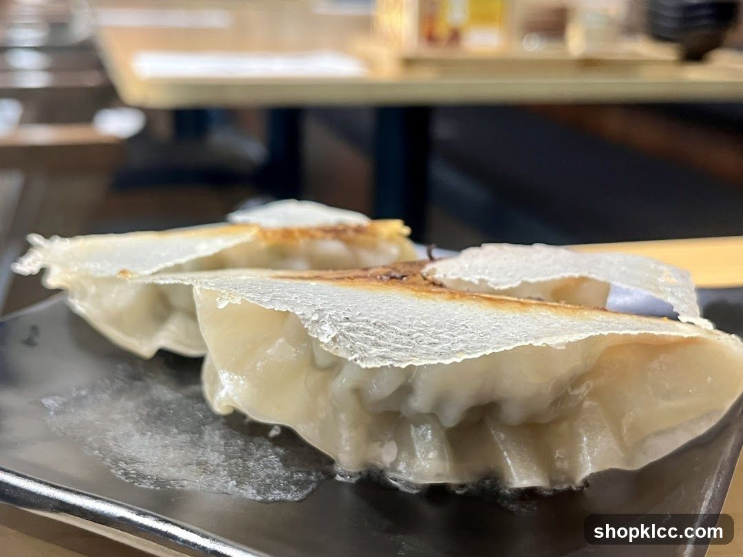 Pan-fried dumplings
