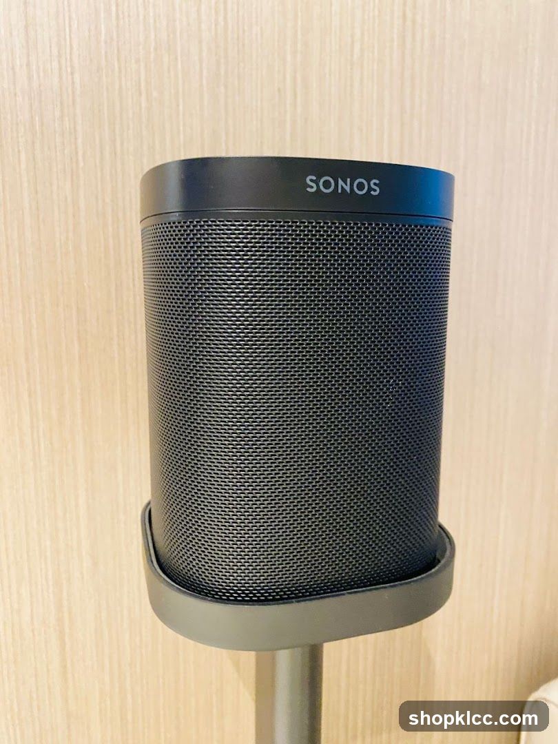 Sonos Speaker