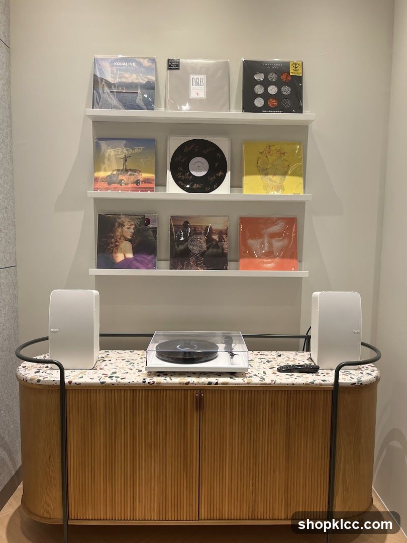 Record Display and Turntable Setup