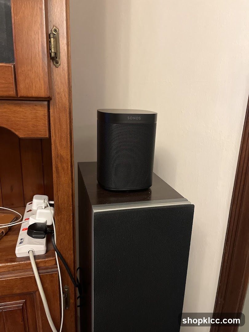 Sonos Speaker on Top of a Speaker