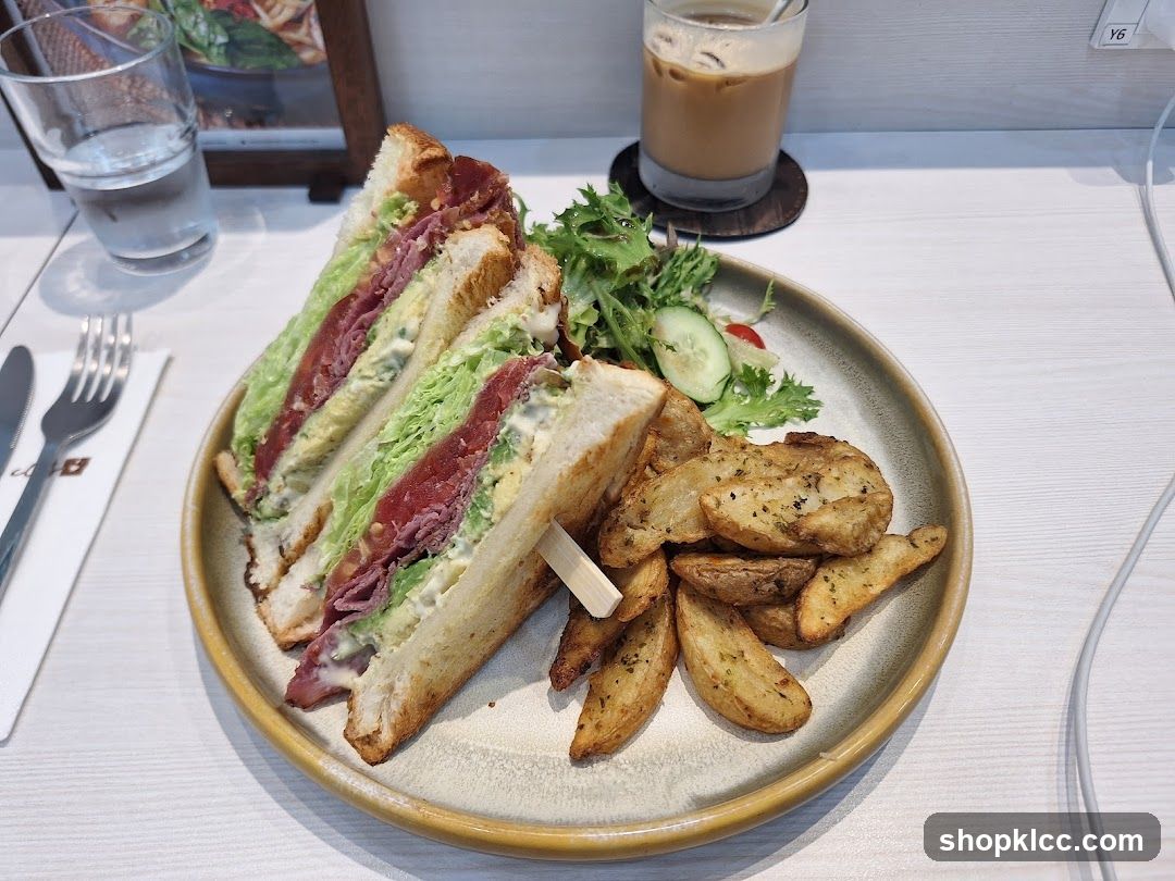 Sandwich with Fries and Salad