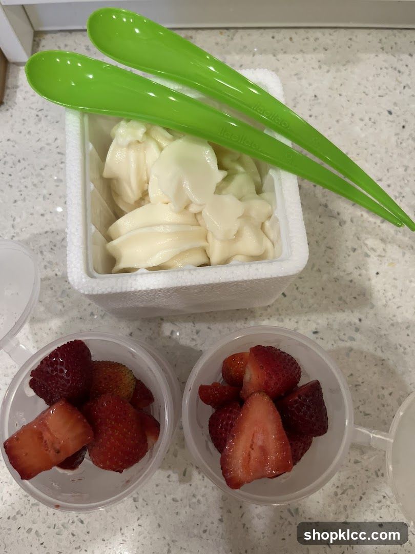 Frozen Yogurt and Strawberries