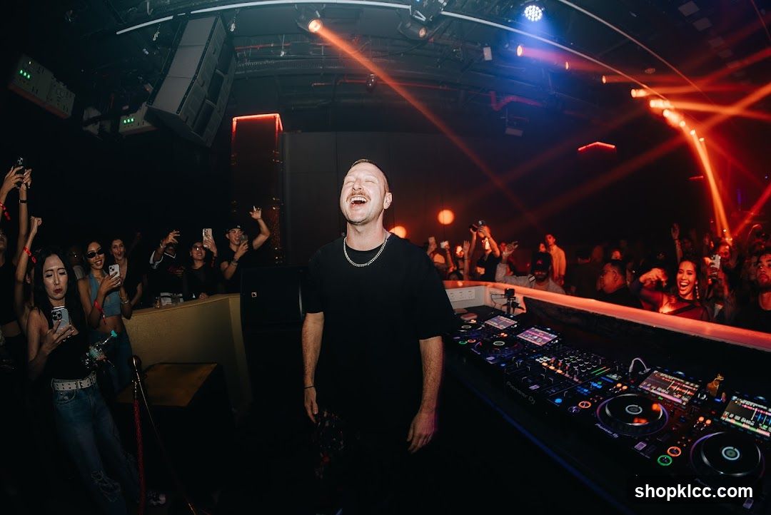 DJ performing for a crowd