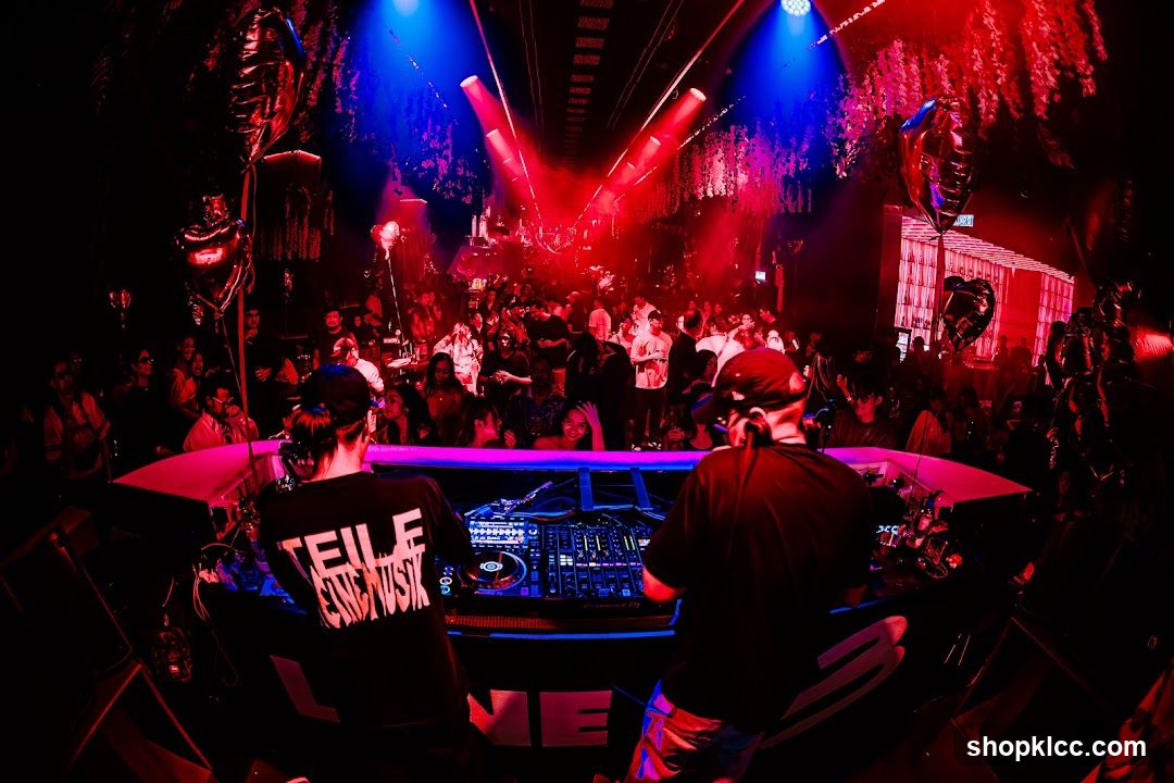 Nightclub DJ Set