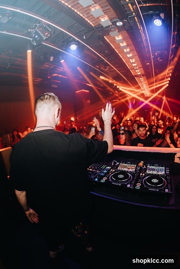 DJ performing for a crowd