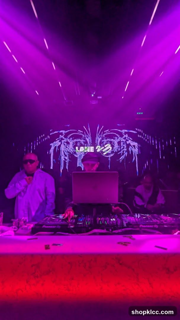 DJs performing in a club