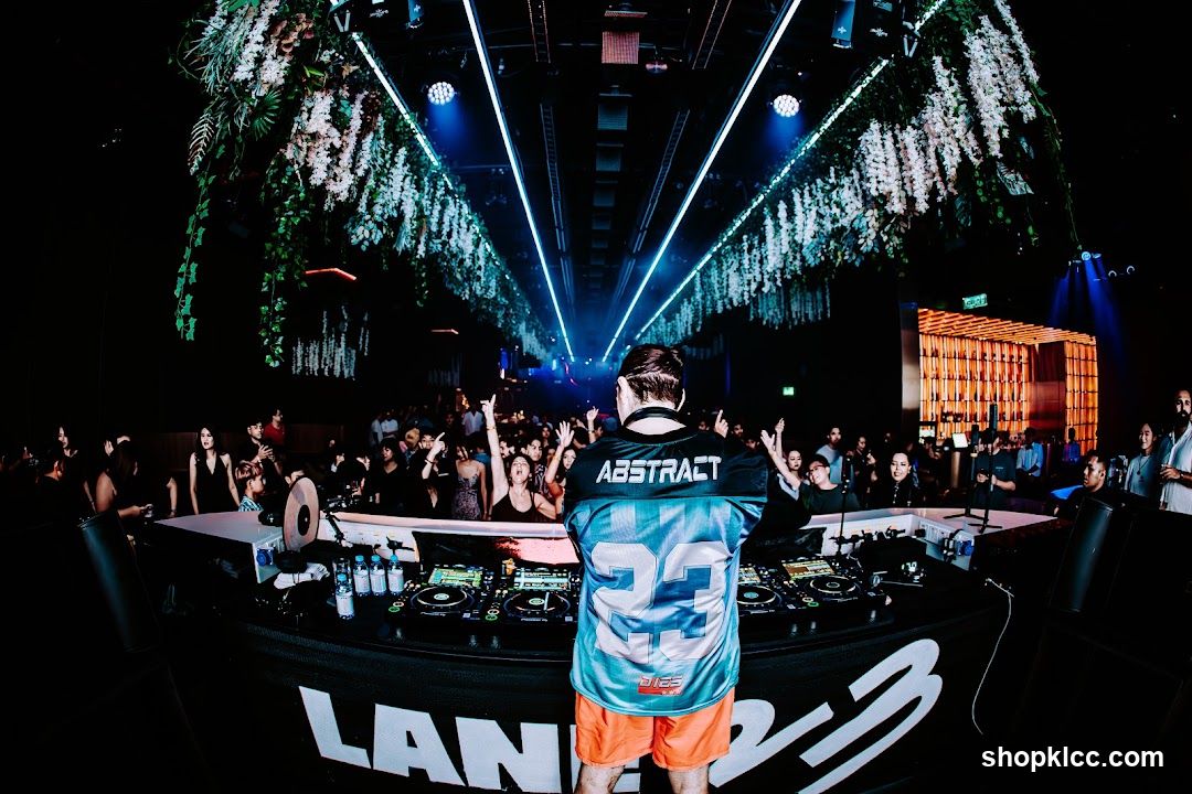 DJ performing for a crowd