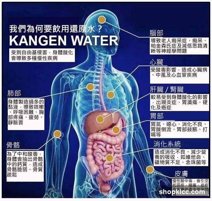 Why Should We Drink Kangen Water?