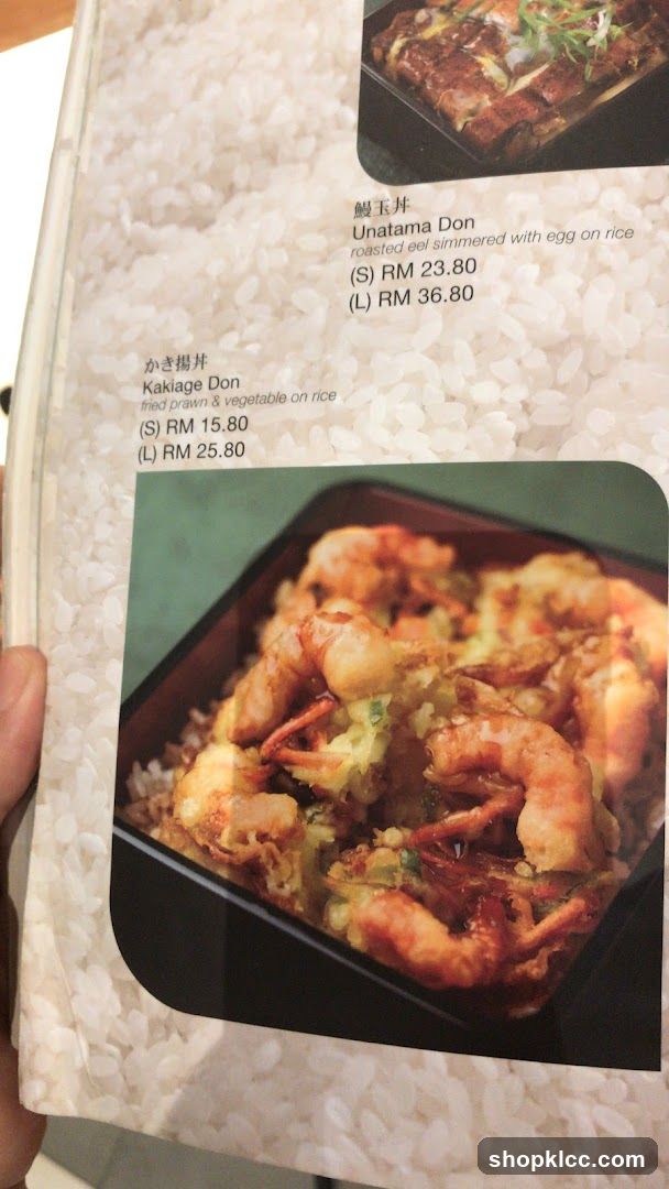 Donburi Menu